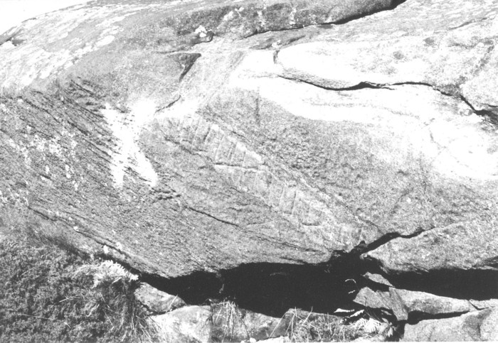 Manana Island Petroglyph