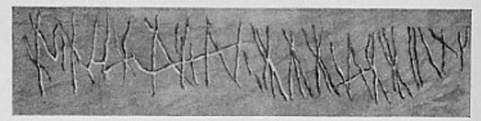 Manana Island Petroglyph (Schoolcraft Illustration)