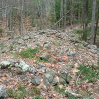 Northwood-Cairn-Small