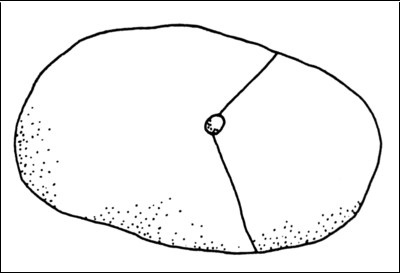 "V" shape fracture produced by blasting a boulder